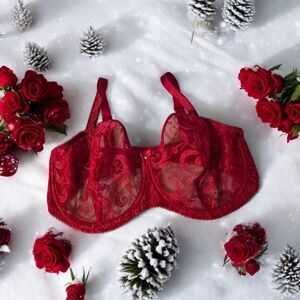 Nwot Fantasie Allegra Underwire Balcony Bra in Red
